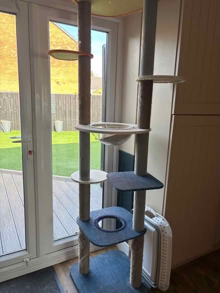 Photo of free Floor to ceiling cat tree (Rishton) #1