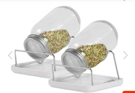 Photo of free Sprouting jars (BN43) #1