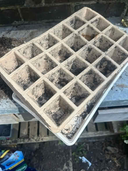 Photo of free Seed trays x4 (Milton) #1