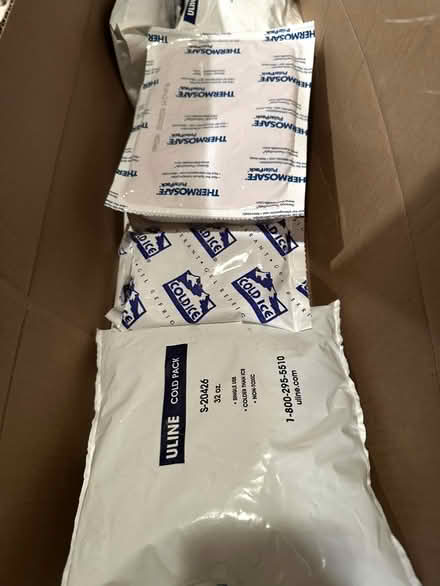 Photo of free Ice packs (North Green Lake) #1