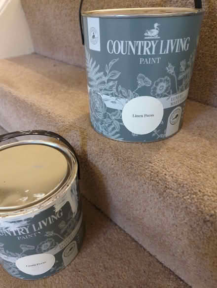 Photo of free Paint (Easthampstead RG12) #1