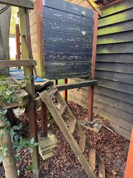 Photo of free Tree house (Twyford RG10) #4