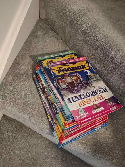 Photo of free kids comics- The phoenix (Newbury, RG14) #1