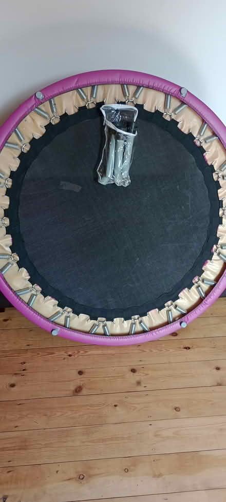Photo of free Rebounder (mini trampoline) (Braunstone LE3) #2