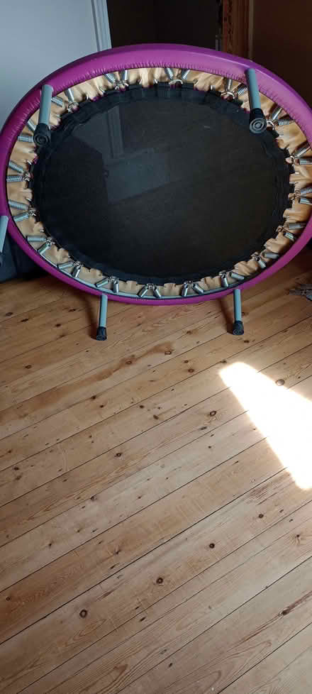 Photo of free Rebounder (mini trampoline) (Braunstone LE3) #3