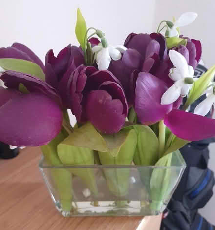 Photo of free Decorative Vase (Woodley RG5) #2