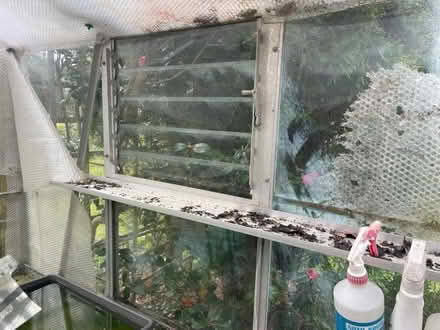 Photo of free Greenhouse (Cheltenham GL52) #4