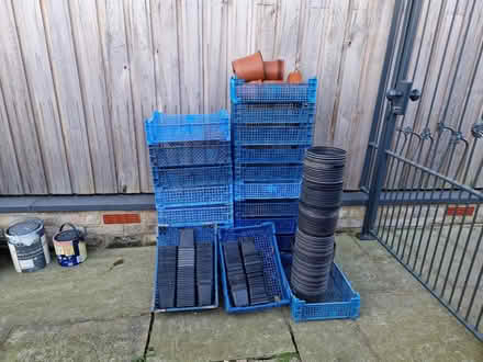 Photo of free Plastic pots and trays (Rusthall, TN4) #1