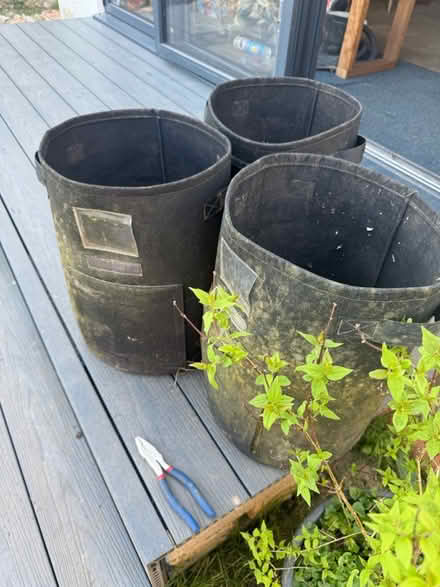 Photo of free Potato grow bags (Chalford hill) #1