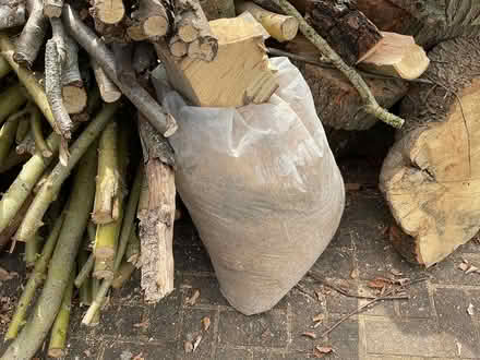 Photo of free Large bag of sawdust (GU18) #1