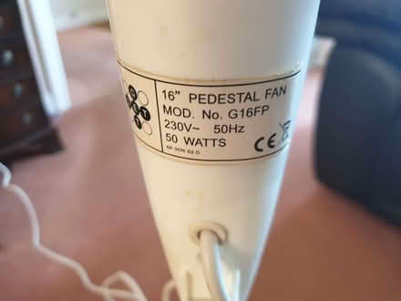 Photo of free 16" floorstanding oscillating fan (The Rock TF3) #3