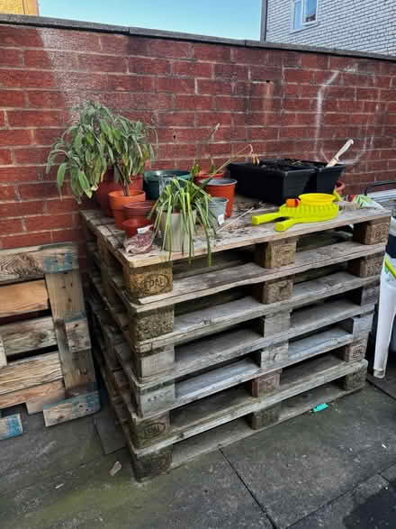 Photo of free pallet (WN7) #1