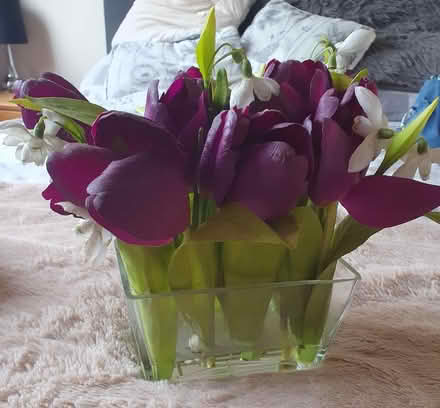 Photo of free Decorative Vase (Woodley RG5) #1