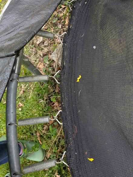 Photo of free 8' trampoline (Girton CB3) #2