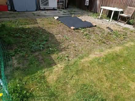Photo of Weed suppression (HX3) #2