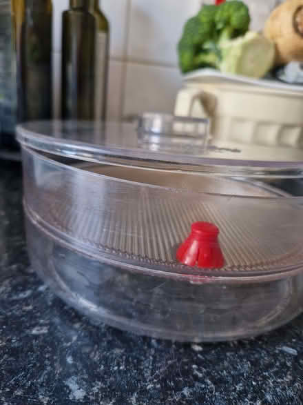 Photo of free seed sprouter (Mytholmroyd HX7) #1