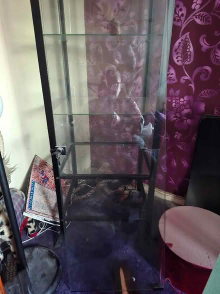 Photo of free Ikea glass display cabinet (St Nicholas SG1) #3