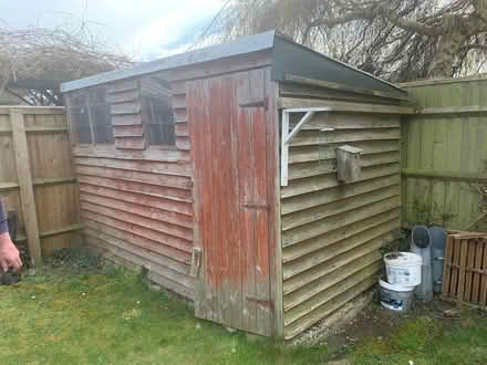 Photo of free Garden shed (Temple Cowley OX4) #1