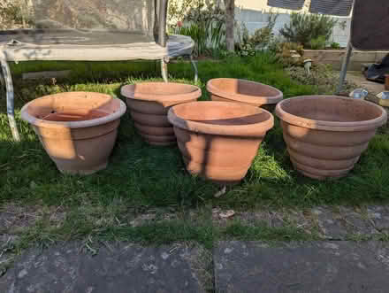 Photo of free Medium plant pots (Ashton Vale BS3) #1