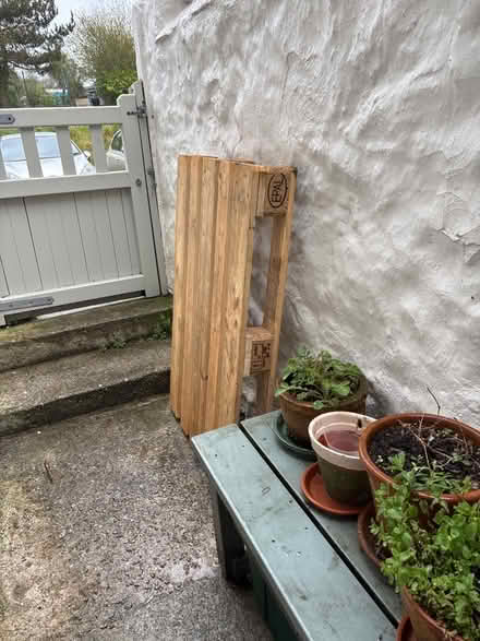 Photo of free Pallet (Hayle TR27) #1
