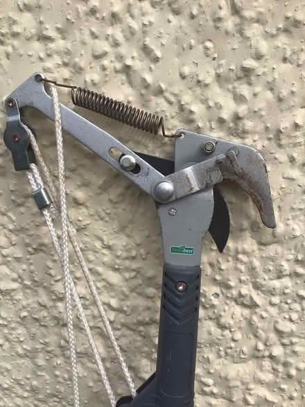 Photo of free Garden loppers (Billericay) #3