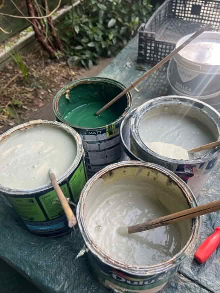 Photo of free Emulsion paint (East Finchley) #1
