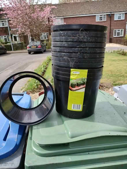 Photo of free 12 Tomato Pots (Bratton) #1