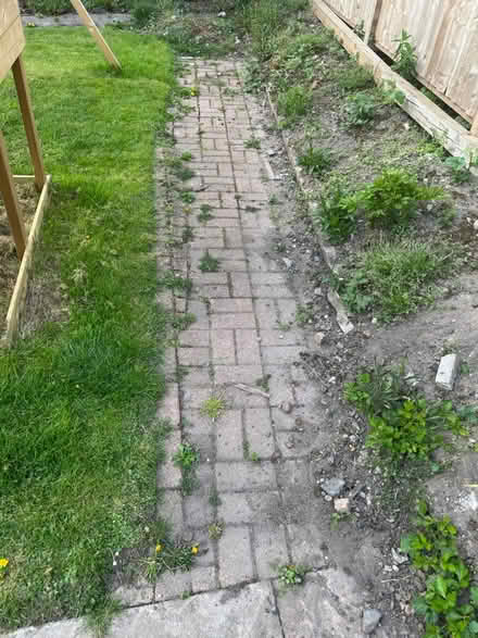 Photo of free Garden Paving Blocks (Cardiff) #2