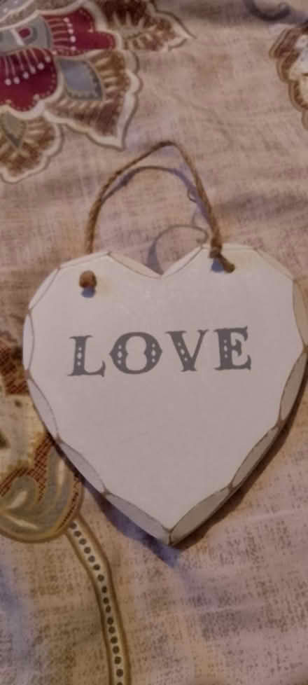 Photo of free Fluffy feathers and hanging sign (Chesser EH14) #1