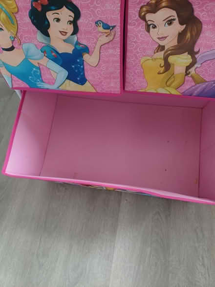 Photo of free Disney storage unit (Paignton TQ3) #3