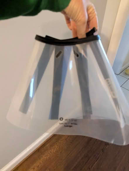 Photo of free Large Elizabethan collar for dog (Hyattsville) #1