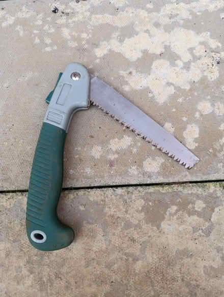 Photo of free Pruning saw (CO12) #1