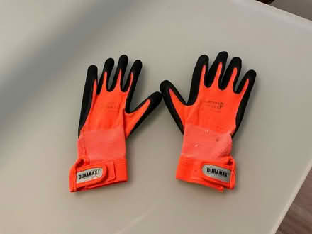 Photo of free Work gloves (The Glebe) #1