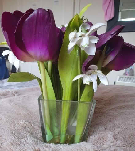 Photo of free Decorative Vase (Woodley RG5) #3