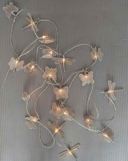 Photo of free String of Lights (not led) (Lower Walkley S6) #1