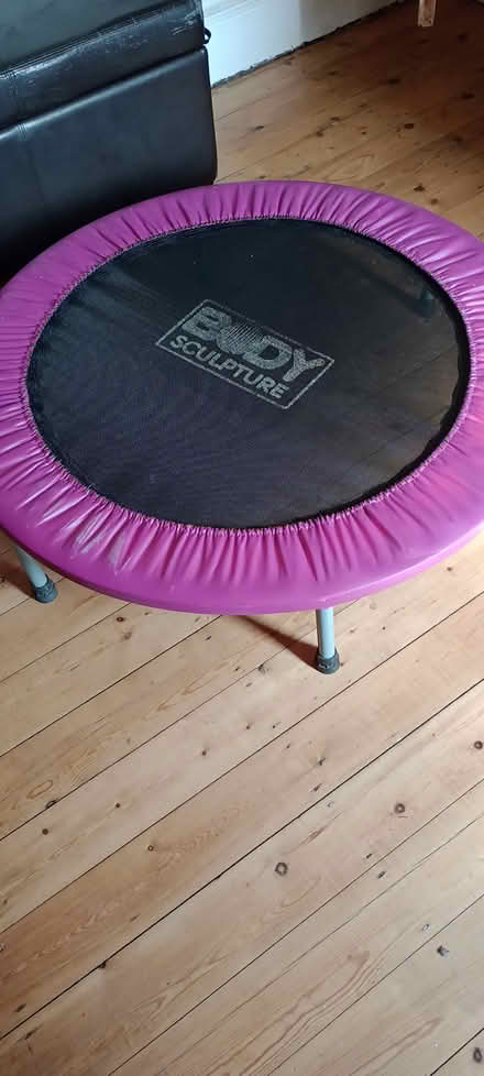 Photo of free Rebounder (mini trampoline) (Braunstone LE3) #1