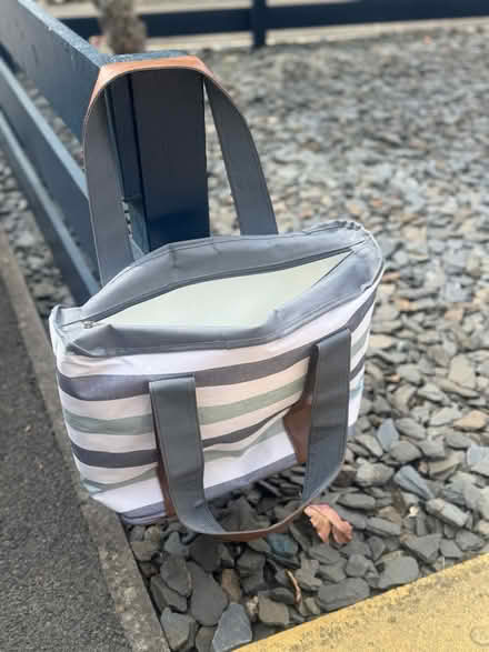 Photo of free Cool bag / car seat (Castle lane west) #1