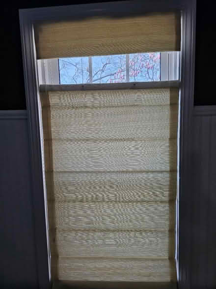 Photo of free Roman Shades 24x56 Pair (Downers Grove) #2