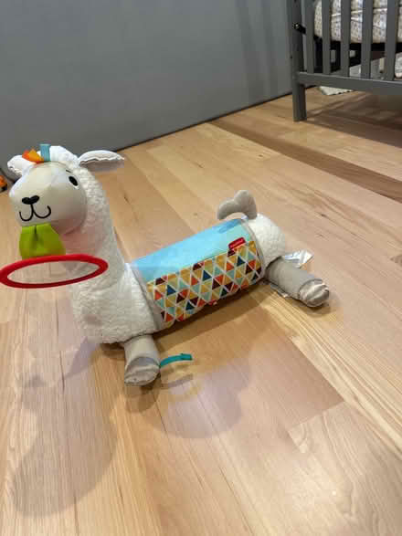Photo of free Infant tummy time wedge toy (Ruby St) #1