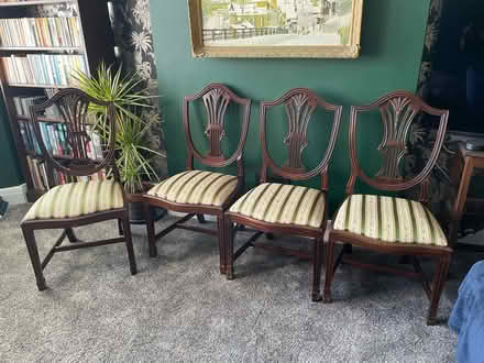 Photo of free 4 wooden dining chairs (Goring BN11) #1