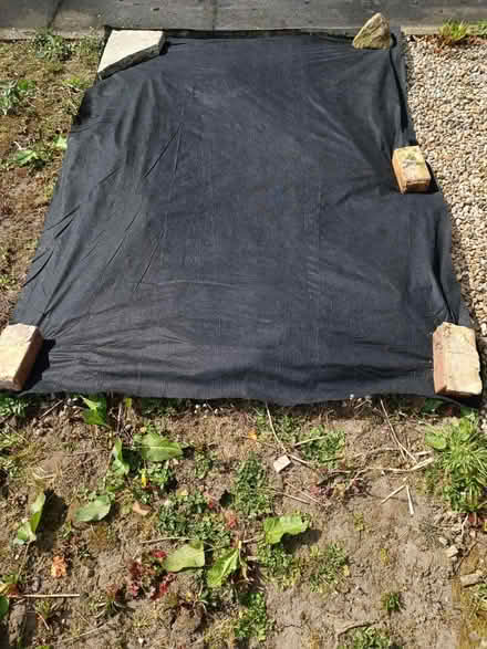 Photo of Weed suppression (HX3) #1