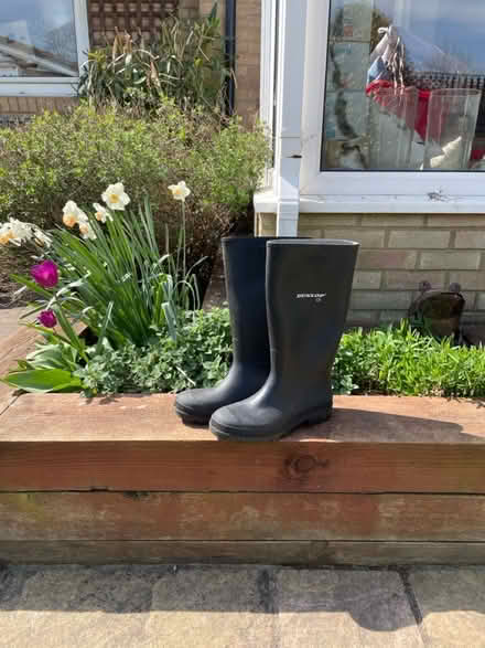 Photo of free Men’s size 10 black wellingtons (CM2 6. Chelmer Village) #1