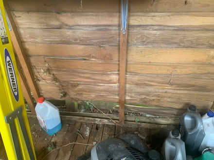 Photo of free Garden shed (Temple Cowley OX4) #3
