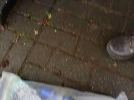 Photo of free Snorkle flippers and mask (Bearton SG5) #2