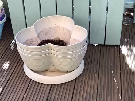 Photo of free Plastic Planter (Long Hanborough OX29) #1