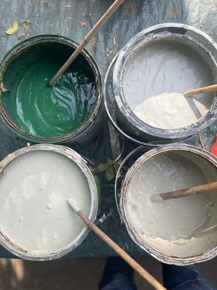 Photo of free Emulsion paint (East Finchley) #2