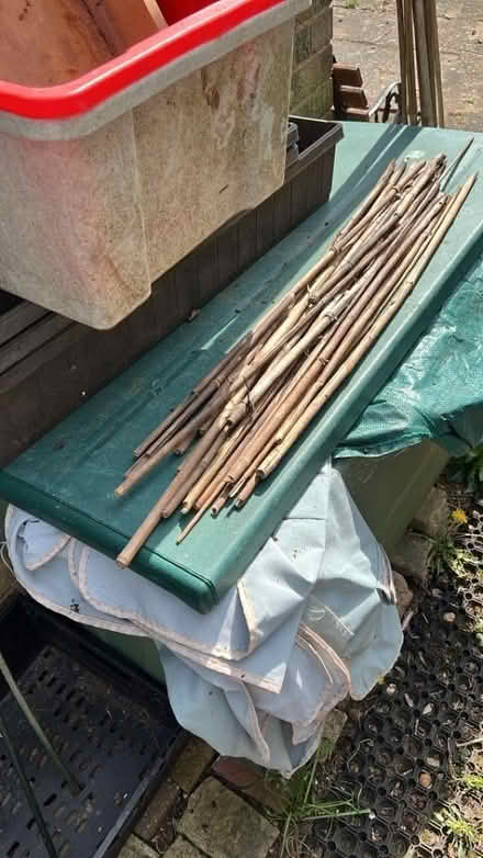 Photo of free Garden canes (Panshanger AL7) #2