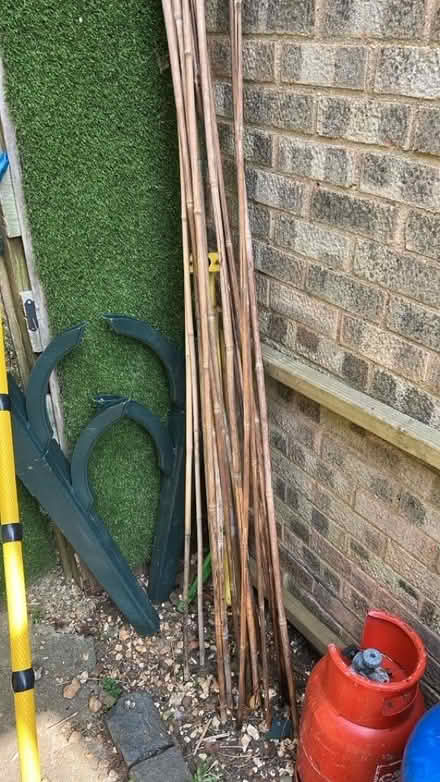 Photo of free Garden canes (Panshanger AL7) #1