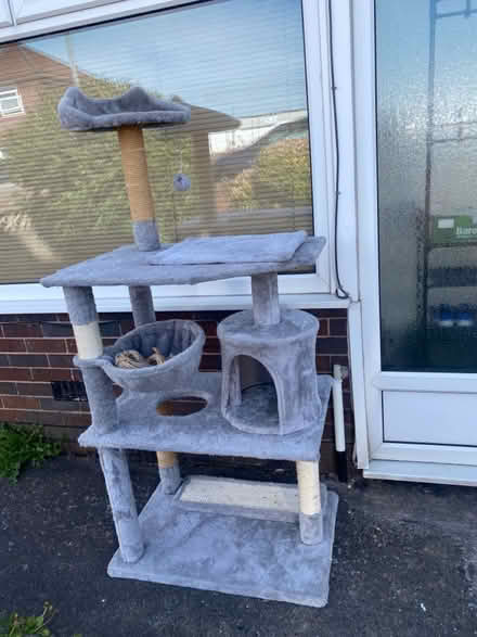 Photo of free Cat tree (Radcliffe M26) #1