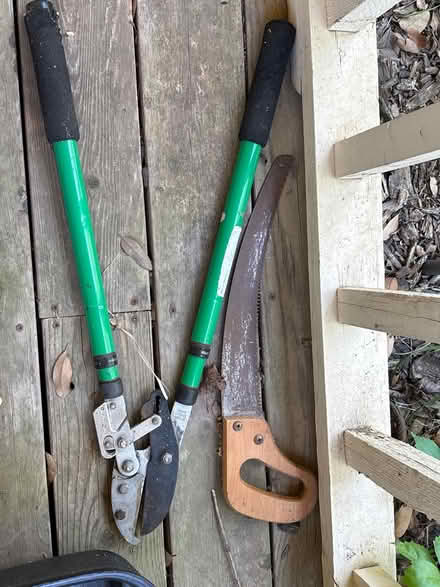 Photo of free Tree loppers and saw (West Austin) #1